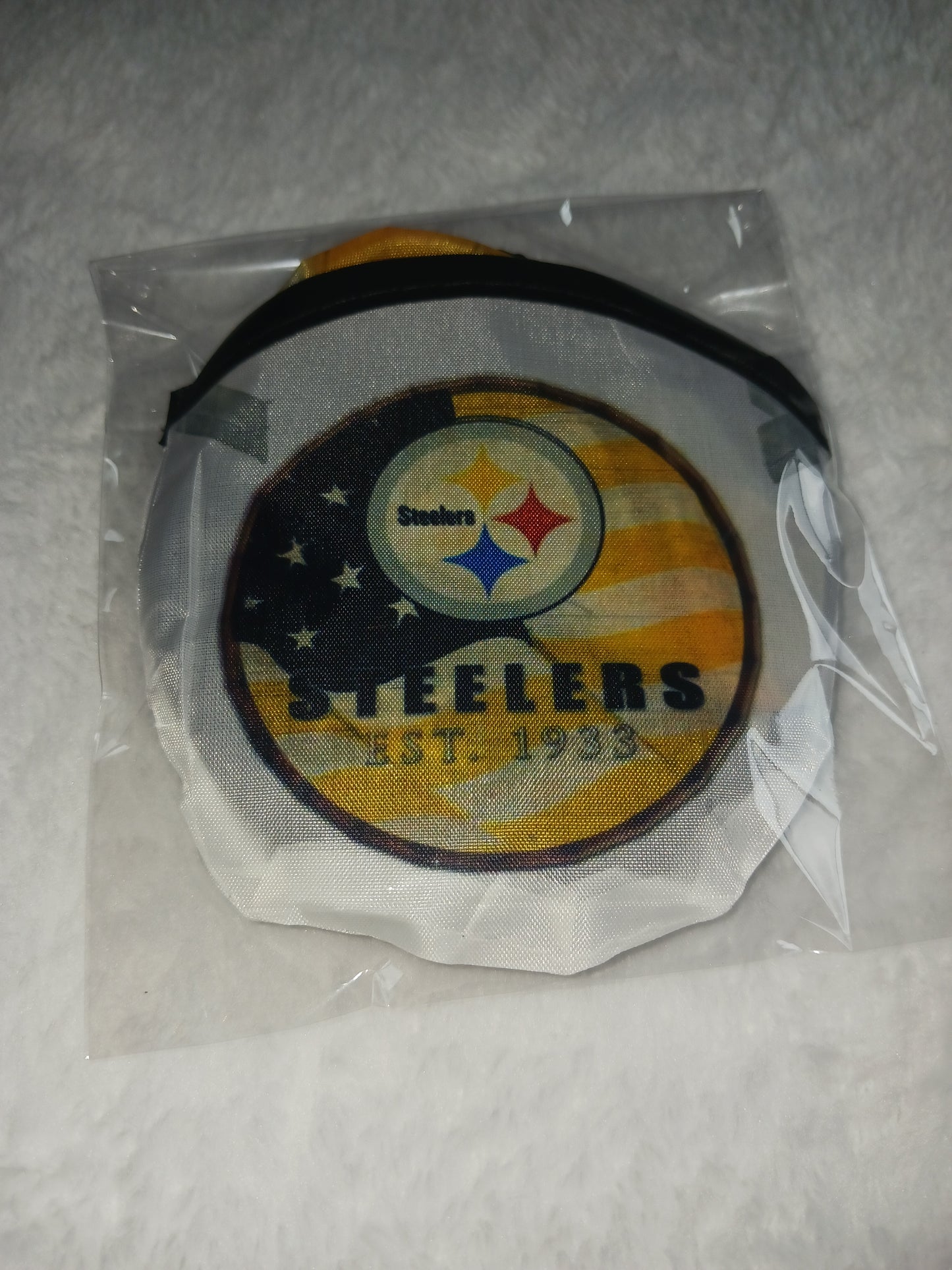 Pittsburgh team flying disc