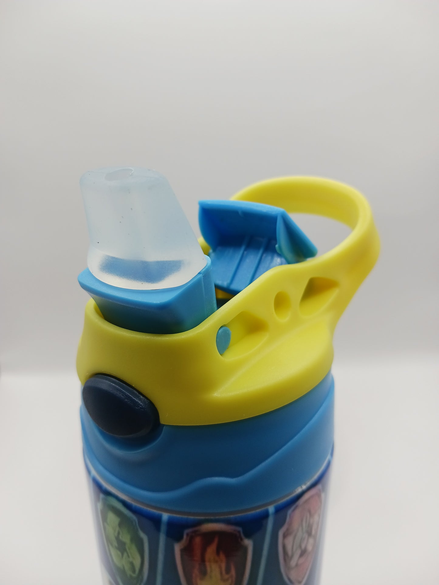 Doggie patrol kids water bottle