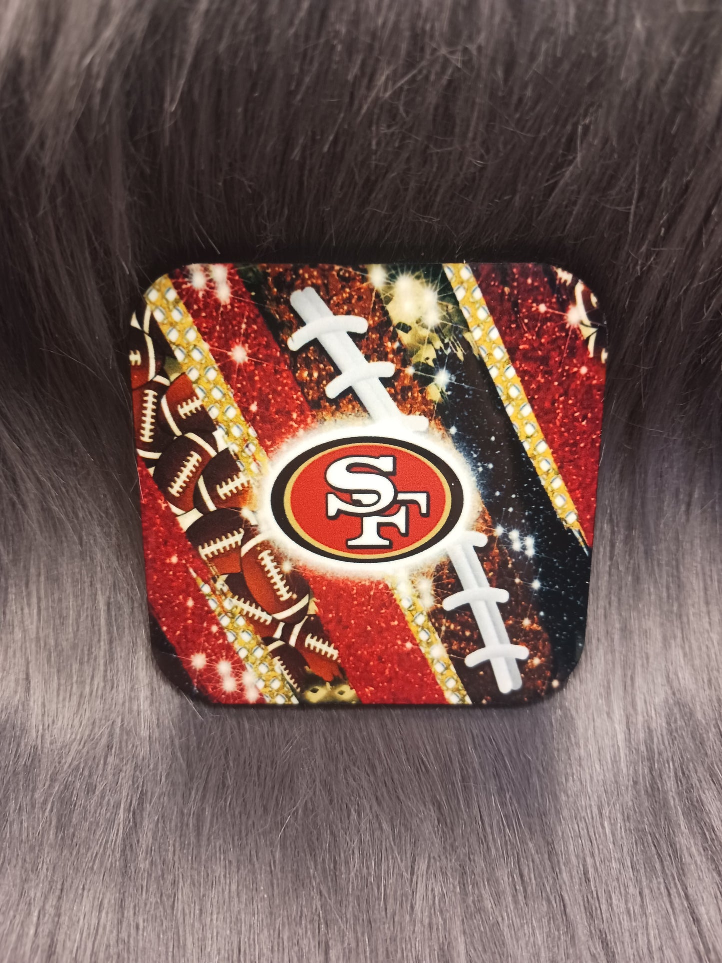 SF 49 football team magnet